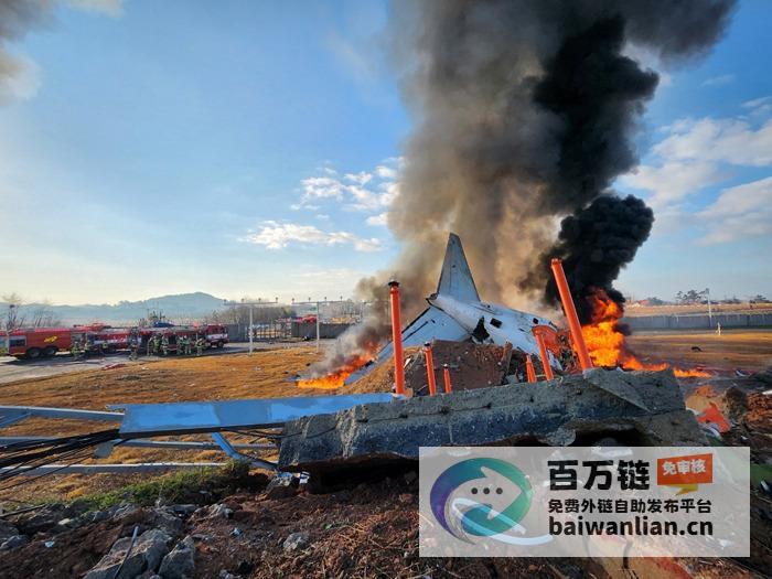 碧海如墨 仿若翡翠镶嵌大地 黄河湿地 (碧海如烟)