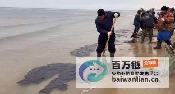 清理工作仍在进行中 俄罗斯黑海沿岸持续遭受燃油污染 (清理工作开展情况)